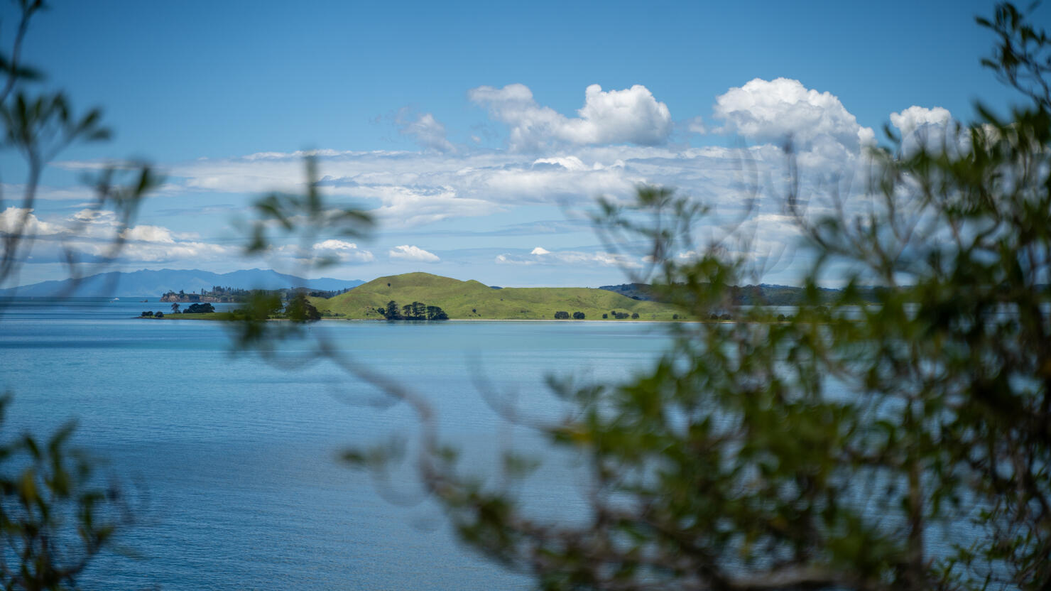 Photo of Browns Island from Achilles Point in Auckland