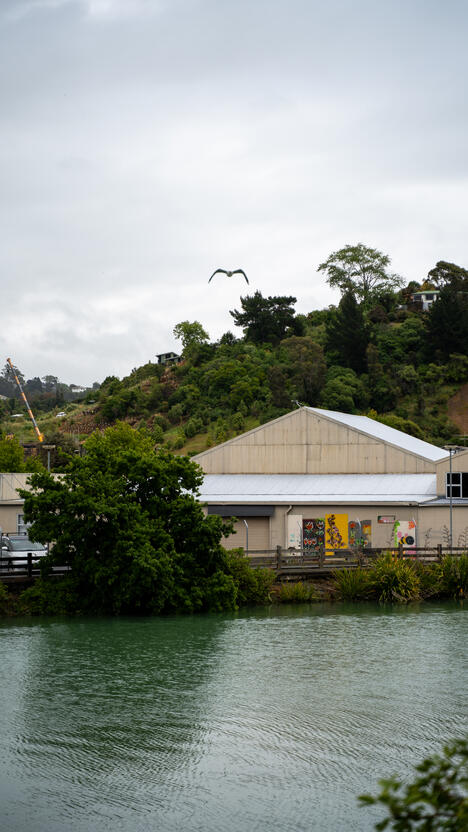 Cute small-town view in Nelson (with a bird!)