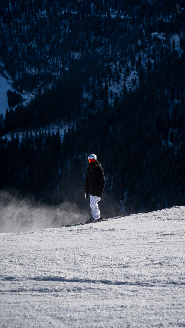 Waiting for me to put my camera away!